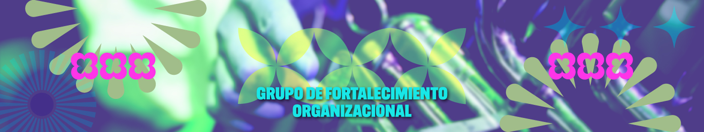 Grupo de Fortalecimiento Organizacional