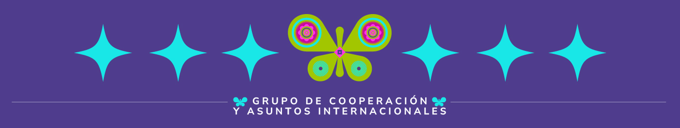 Grupo de cooperación y asuntos internacionales