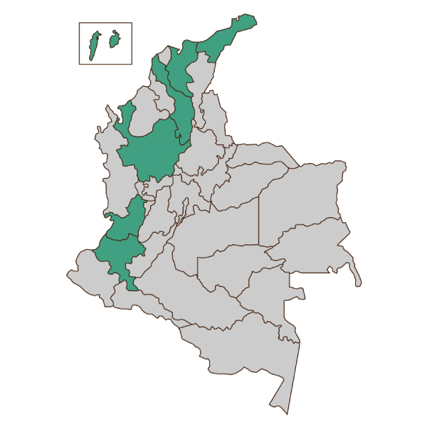 encuentro internacional