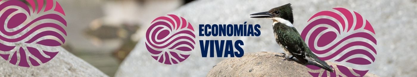Economías vivas