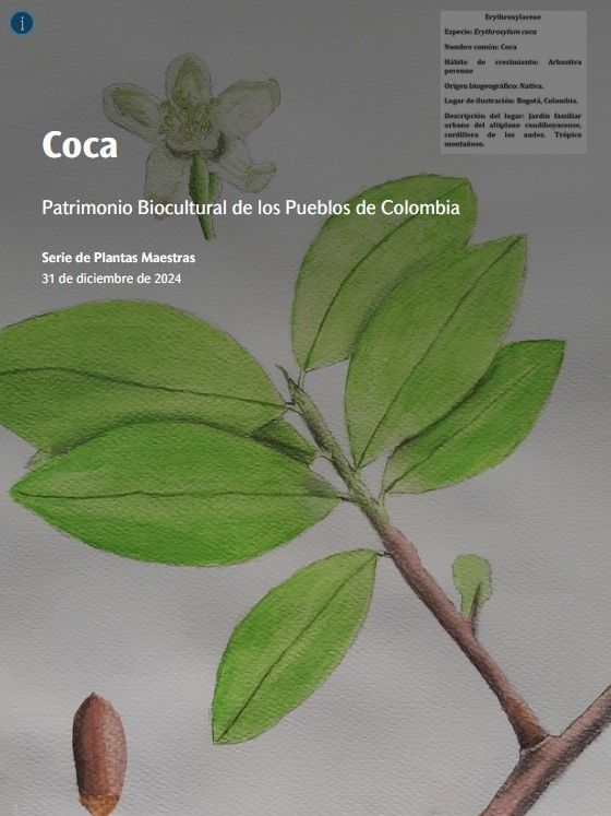 Coca