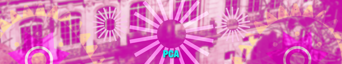 banner Grupo de patrimonio cultural arquitectónico PCA