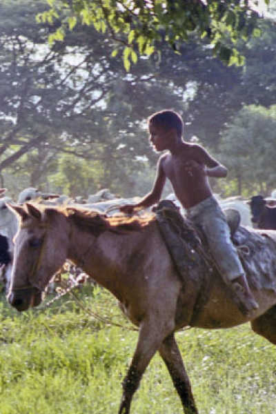 Cantos de Trabajo de Llano