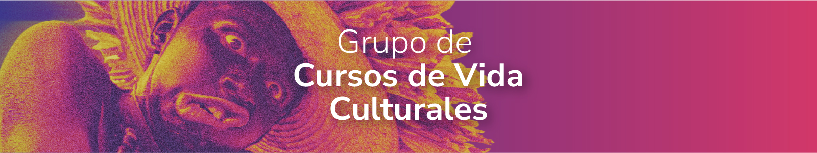 Grupo de Vida Culturales