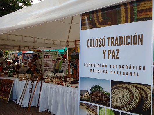 La iniciativa que fortalece los procesos culturales en Montes de María y Catatumbo