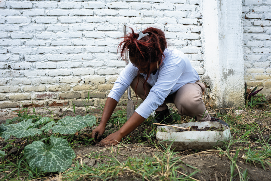 Vigías del Patrimonio Cultural