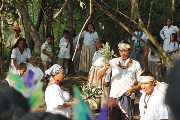 comunidades indigenas