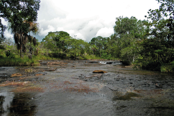 guaviare