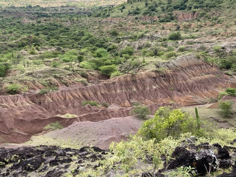 Yacimiento paleontológico del Mioceno medio en la Tatacoa (Huila) Foto Francisco Melo, Servicio Geológico Colombiano.